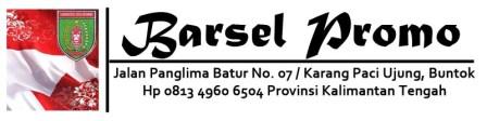 Barsel Promo